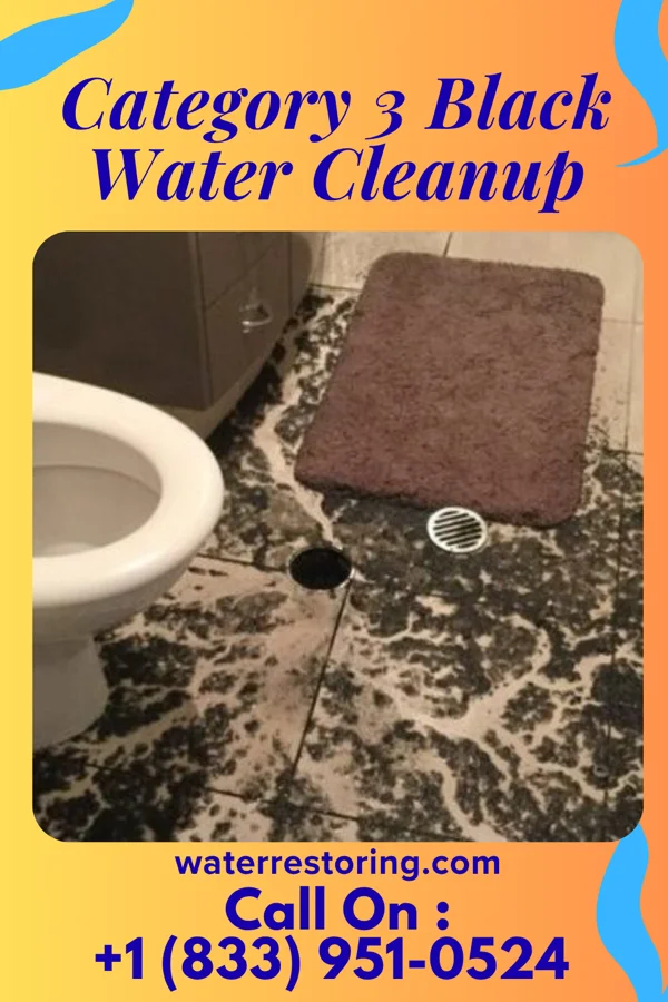 Category 3 Black Water Cleanup in Lakeview Estates, GA