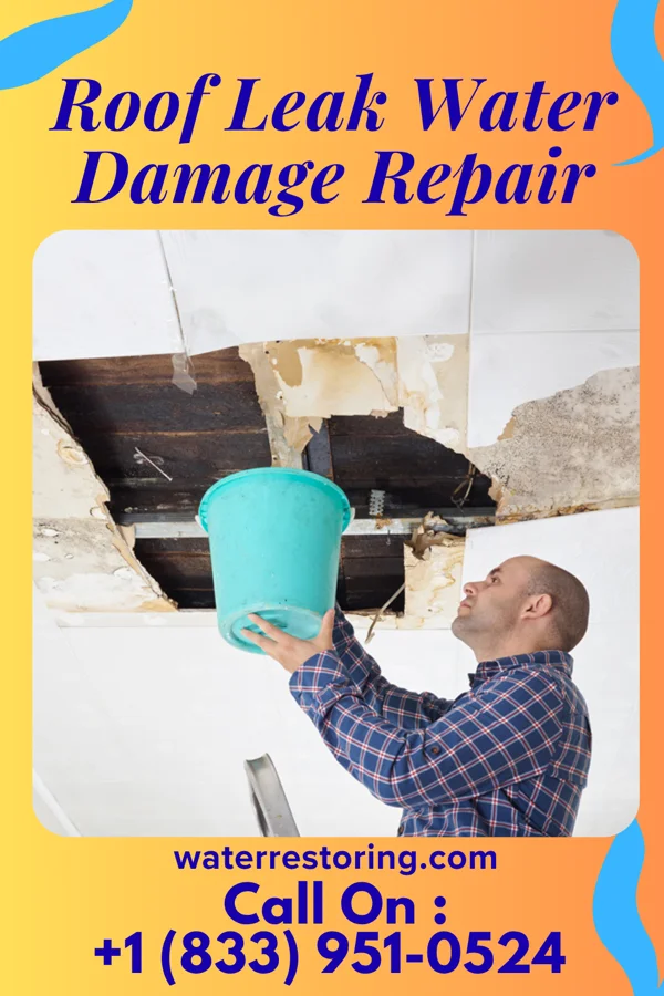 Roof Leak Water Damage Repair in Lakeview Estates, GA
